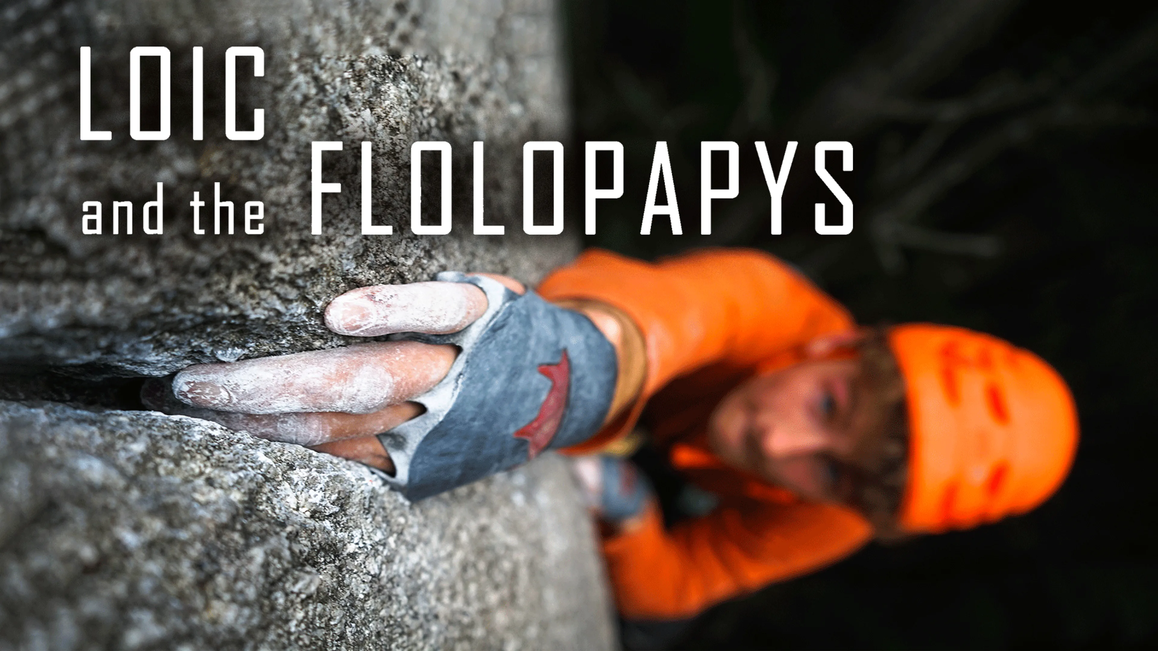 Loic and the Flolopapys poster